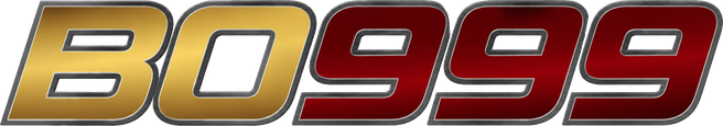 bo999 Logo